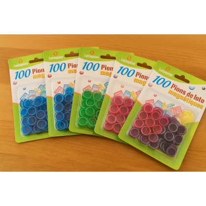 24 x 100 pions loto magnétiques